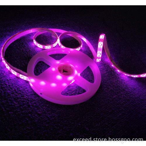 Double LED Body Sensor Bed Light